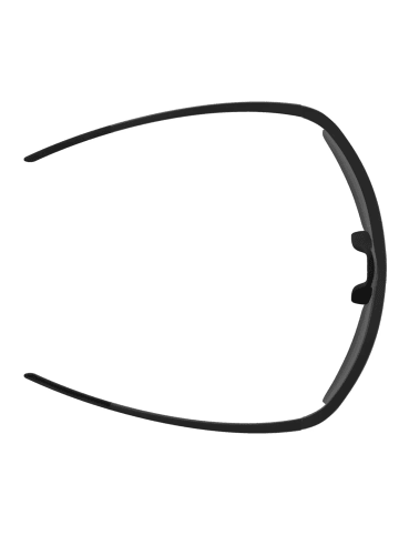 Alpina Sonnenbrille Eagle Q-Lite in Schwarz