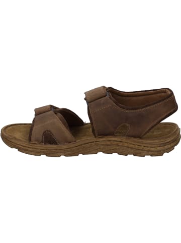 Josef Seibel Sandale Raul 19 in castagne/brasil