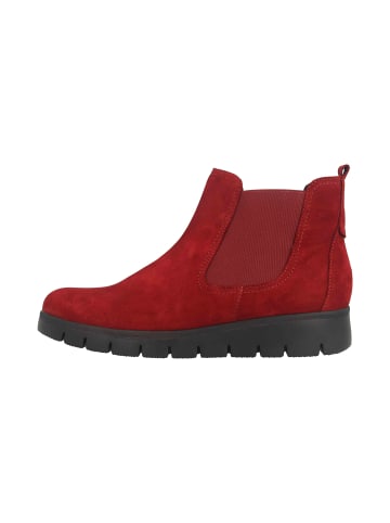 Gabor Stiefeletten in Rot