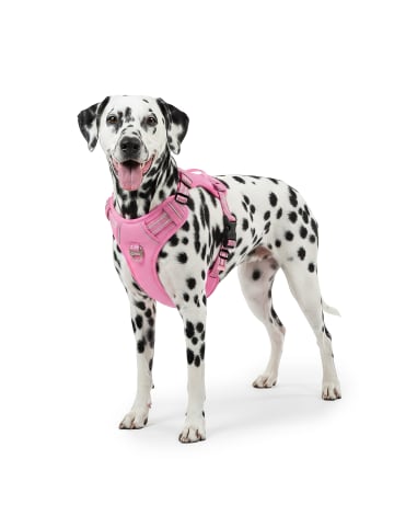 Reichstadt Reichstadt  Hundegeschirr  25RSP083 Pink L