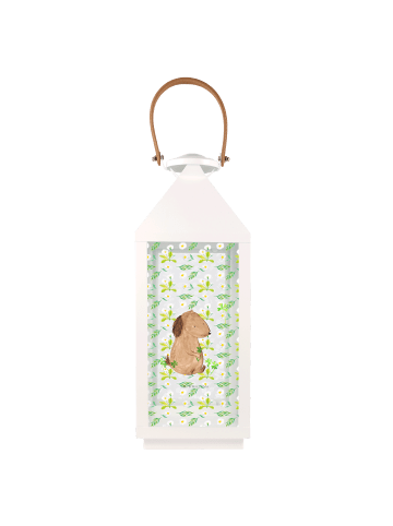 Mr. & Mrs. Panda Outdoor Laterne Hund Kleeblatt ohne Spruch in Transparent
