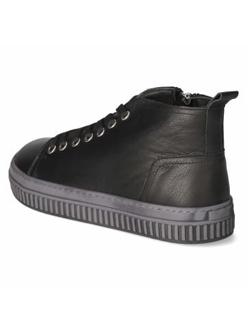Andrea Conti Schnürstiefel in schwarz