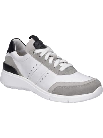 Josef Seibel Sneaker Giulietta 01 in weiss-grau