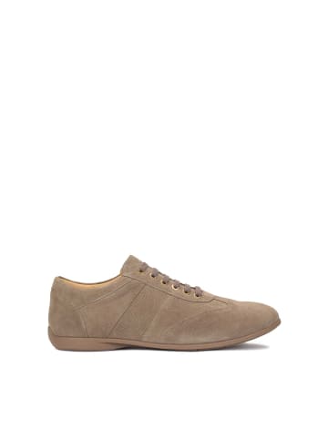 Kazar Schnürschuhe in Taupe