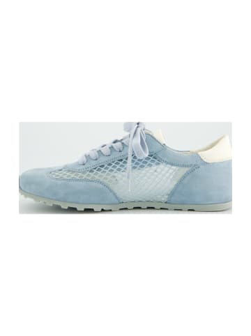Paul Green Sportliche Schnürschuhe in Blau