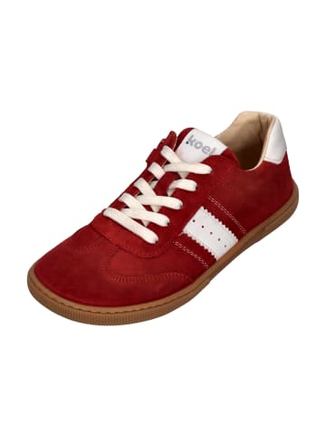 KOEL Sneaker Low DECLAN SUEDE 3.0 in rot