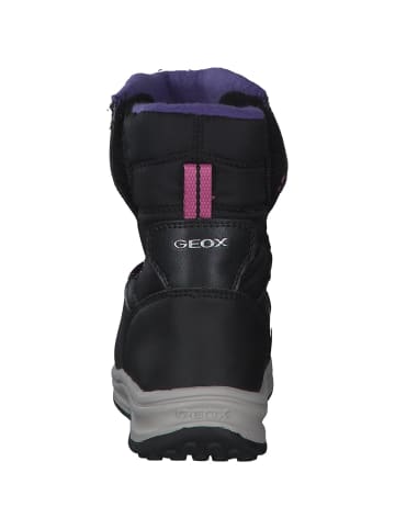 Geox Stiefeletten in black/fuchsia