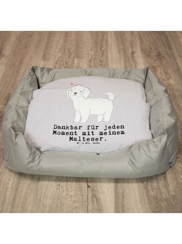 Mr. & Mrs. Panda Hundebett Malteser Moment mit Spruch in Grau Pastell