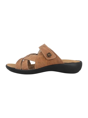 WESTLAND Sandalen in Braun