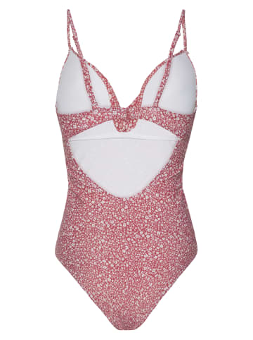 Protest " PRTPALE in Rusticrust