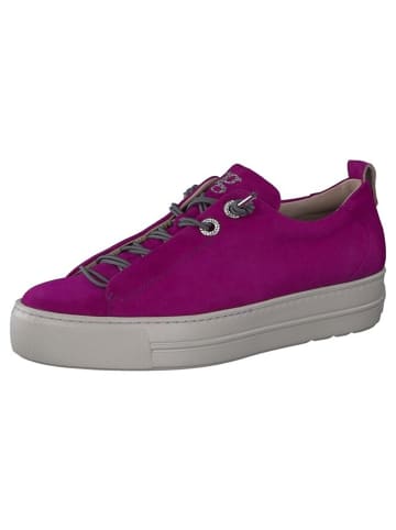 Paul Green Lowtop-Sneaker in fuchsia