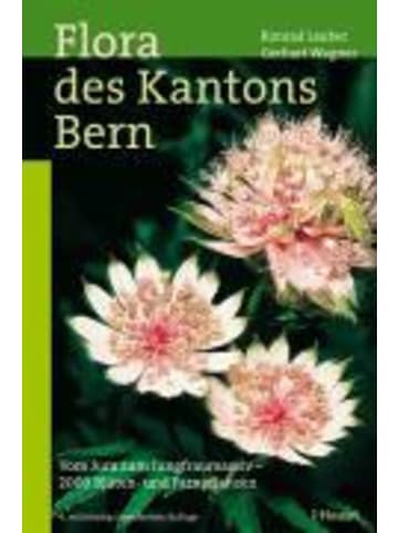 Haupt Flora des Kantons Bern