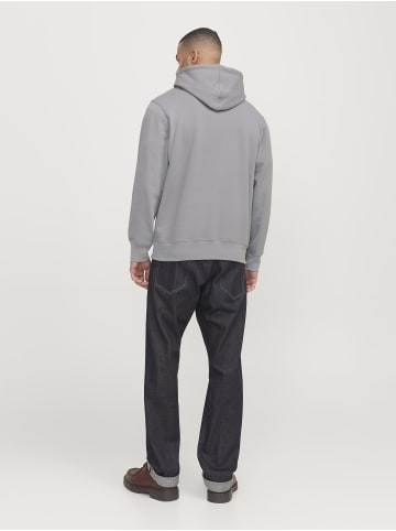Jack & Jones Kapuzenpullover in Frost Gray 1