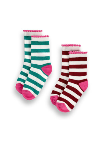 Coccodrillo Socken in bunt