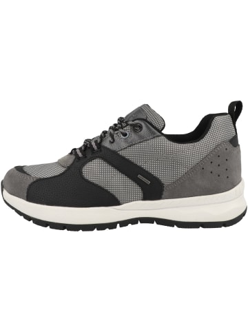 Geox Sneaker low D Braies Abx B in grau