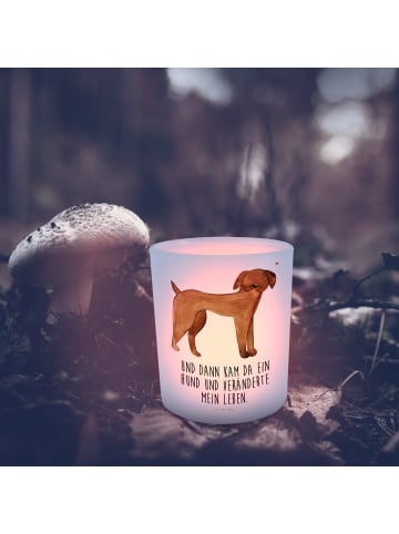 Mr. & Mrs. Panda Windlicht Hund Dogge mit Spruch in Transparent