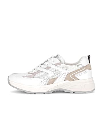 Gabor Sneaker low in weiß