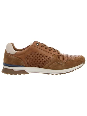 Camel Active Sneaker Low in braun