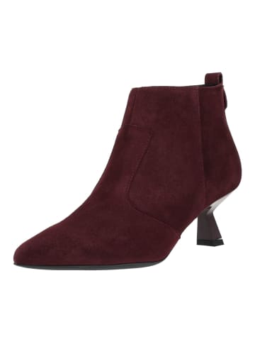 Nero Giardini Stiefelette in Bordeaux