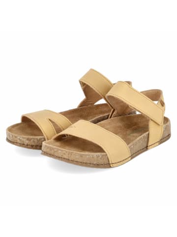 El Naturalista Sandalette in braun