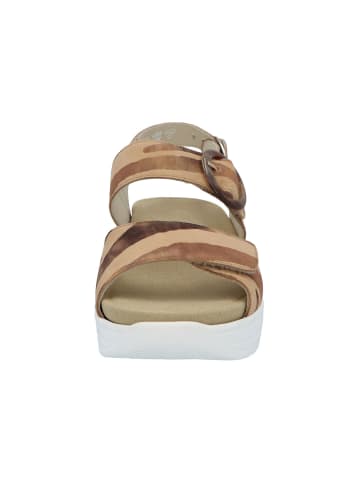 Solidus Sandale Greta-Weite G in ZEBRA camel