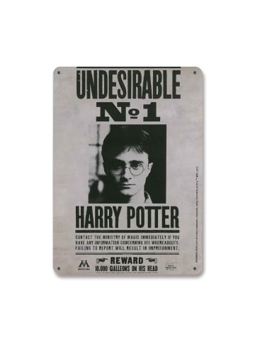 Logoshirt Blechschild Harry Potter - Wanted in mehrfarbig