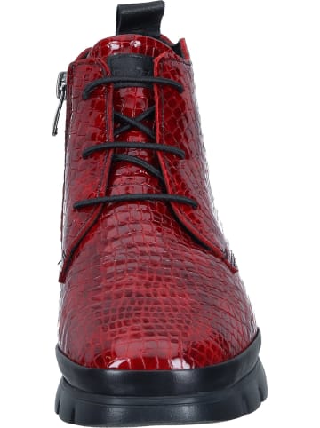 Piazza Schnürstiefeletten in rot