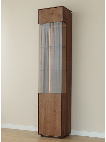 Feldmann-Wohnen Vitrine Collodi Wildeiche Tabak 43 / 37 / 205cm