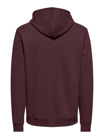 ONLY & SONS Kapuzenpullover in Huckleberry