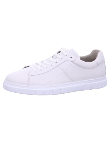 Pius Gabor Sneaker in Weiß