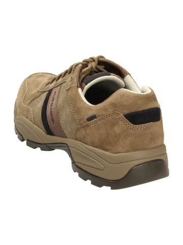 Pius Gabor Komfort Schnürschuhe in Braun