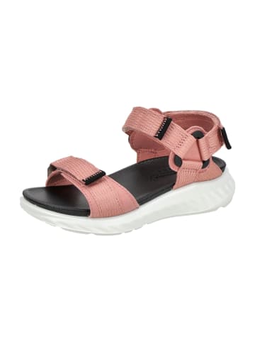 Ecco Sandalen in Pink