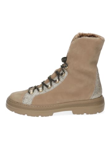 Paul Green Stiefelette in Beige