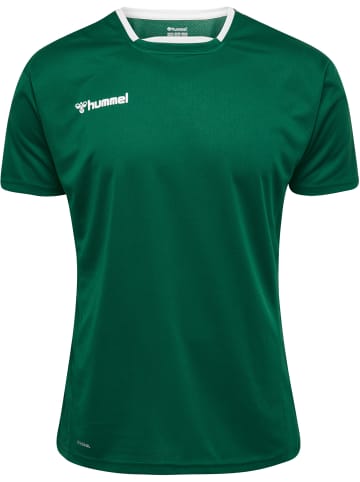 Hummel Hummel T-Shirt Hmlauthentic Multisport Unisex Kinder Atmungsaktiv Feuchtigkeitsabsorbierenden in EVERGREEN