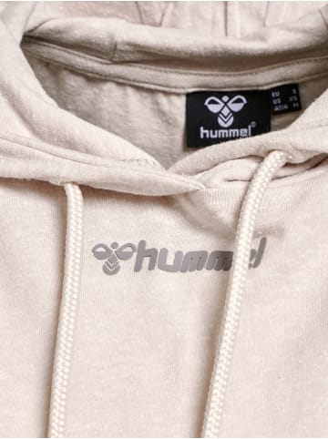 Hummel Hoodie Hmlzandra Hoodie in PUMICE STONE MELANGE