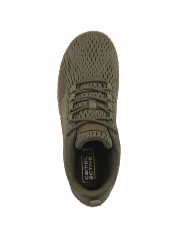 Camel Active Sneaker low 54IL001 in gruen