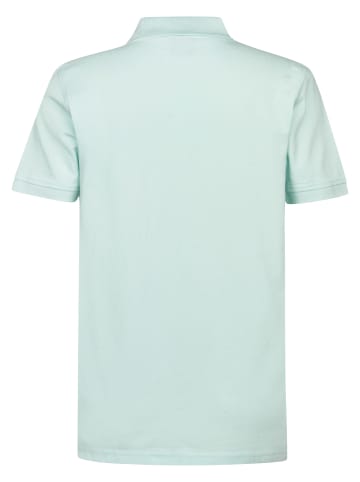 Petrol Industries Klassisches Poloshirt Dolphin in Grün