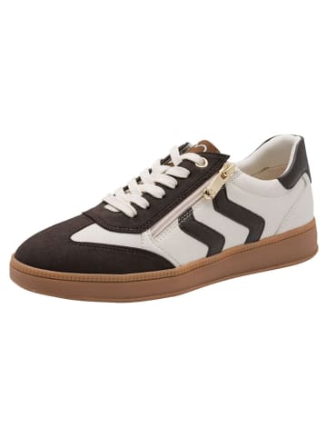 Marco Tozzi Sneaker in CREAM/MOCCA
