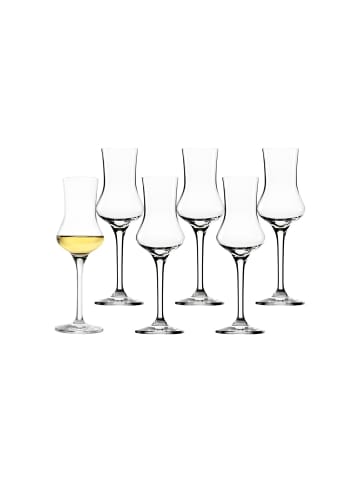 6er Set Destillatgläser Grappa Classic in Transparent 90 ml