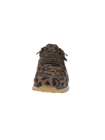 Cetti Sneaker low C-848 SRA in Mehrfarbig