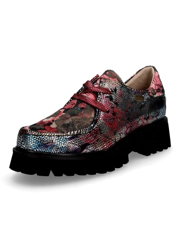 LAURA VITA Schnürschuhe Ifcigo 62 in Metallic Multi 37