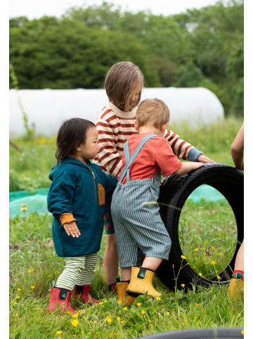Little Green Radicals Dungaree Shorts in Navy