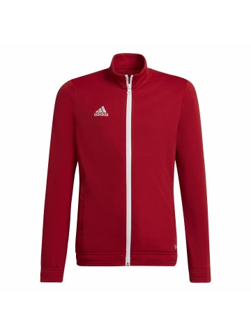 adidas Windbreaker für Herren in uni