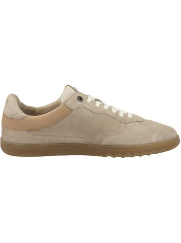 Floris van Bommel Sneaker low De Zaler 04.03 in hellbraun