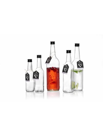 Ritzenhoff & Breker 6er Set Flaschen Mara 350 ml in transparent