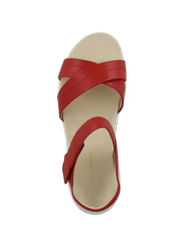 Gerry Weber Sandale Arzignano 10 in rot