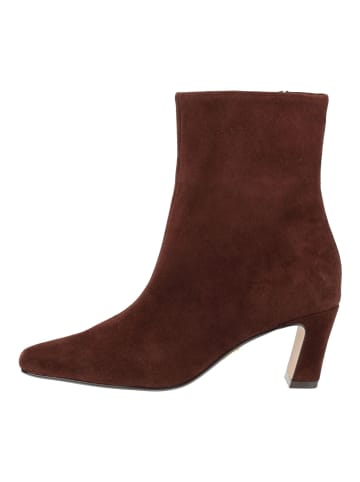 Steve Madden Stiefelette WILLAH Braun