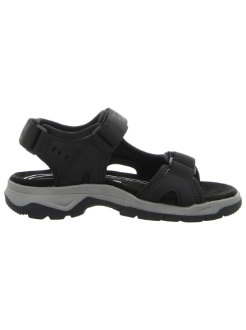 Camel Active Sandale in schwarz