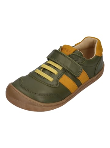 KOEL Sneaker Low Dylan Leather 121 in grün