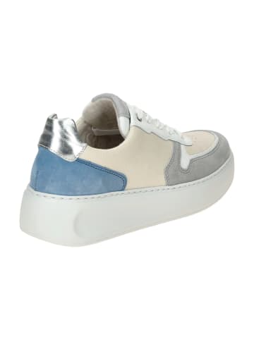 Gabor Sportliche Schnürschuhe in Grau